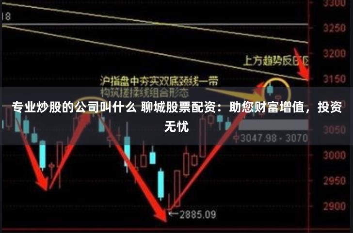 专业炒股的公司叫什么 聊城股票配资：助您财富增值，投资无忧