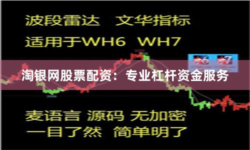 淘银网股票配资：专业杠杆资金服务