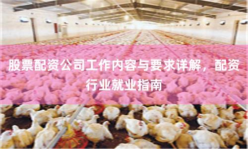 股票配资公司工作内容与要求详解，配资行业就业指南